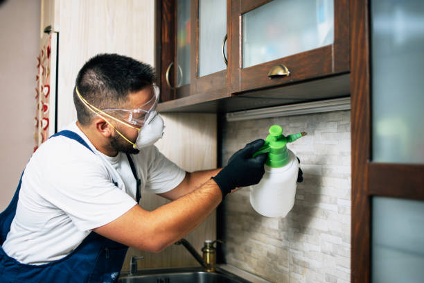 Best Bed Bug Extermination  in Metlatla, AK