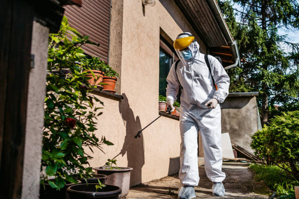 Best Residential Pest Control  in Metlatla, AK