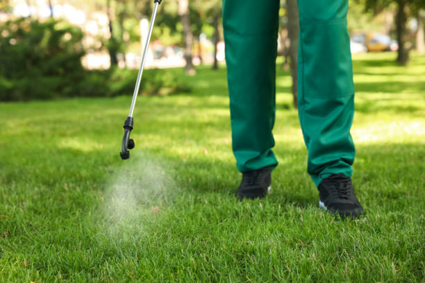 Best Commercial Pest Control Services  in Metlatla, AK