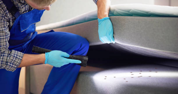 Best Pest Prevention Services  in Metlatla, AK