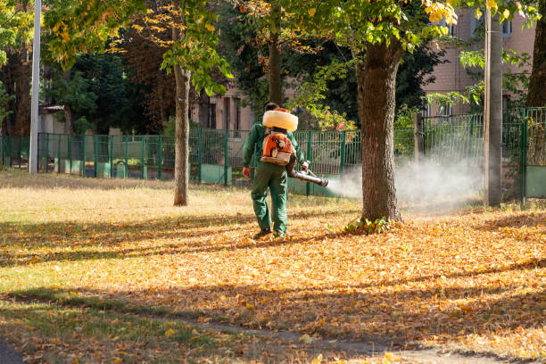 Best Mosquito Control Services  in Metlatla, AK